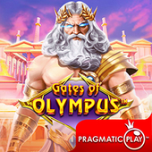 Cổng Olympus widd slot